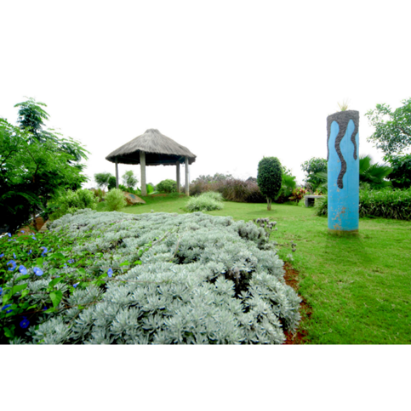 Vintage Valley Image 34